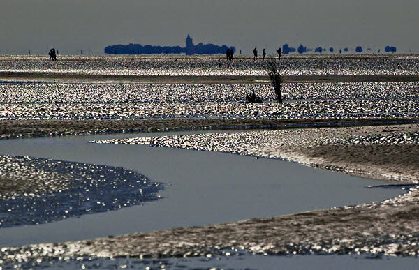 Wattenmeer